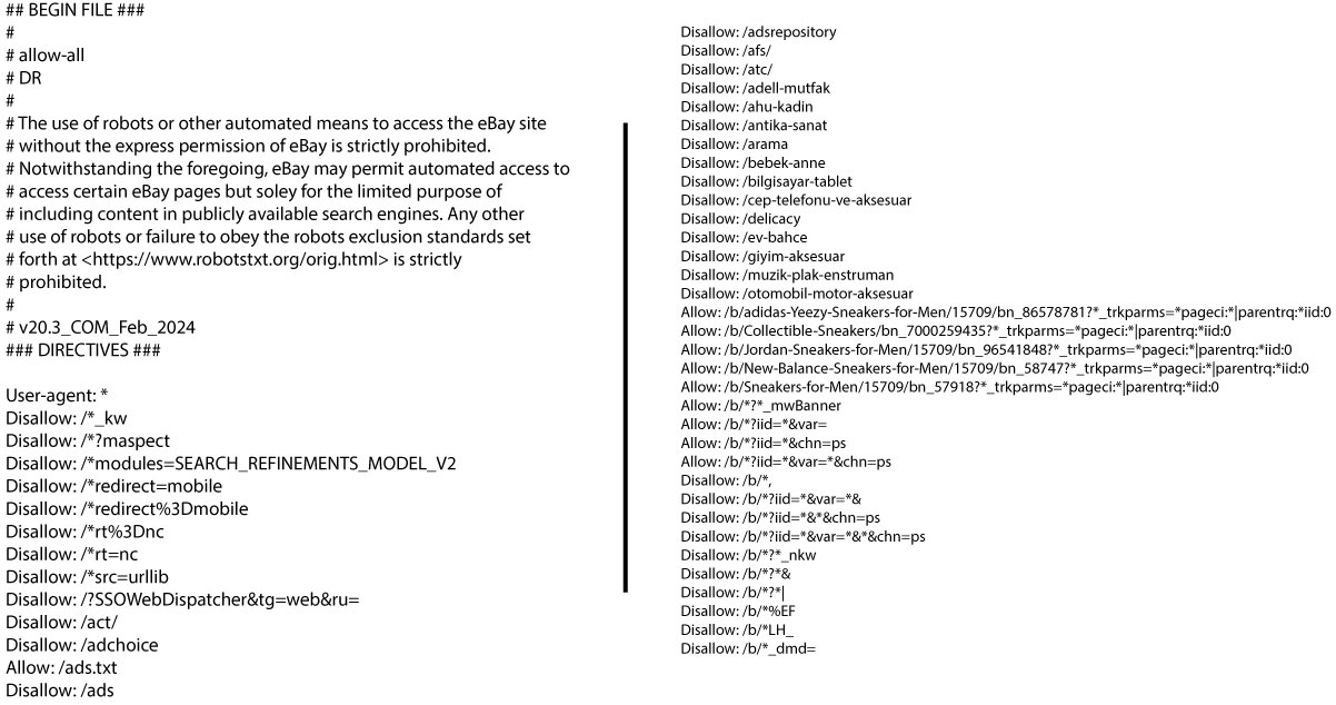 Tips-To-Keep-In-Mind-While-Scraping-EBay-Data